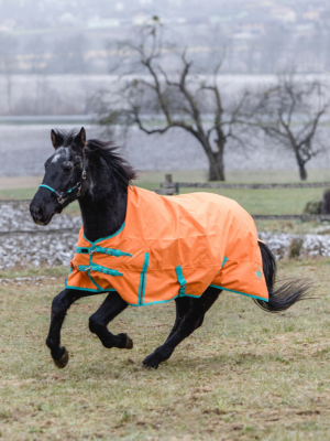 Winterdecke Pro | Orange 100g 155cm